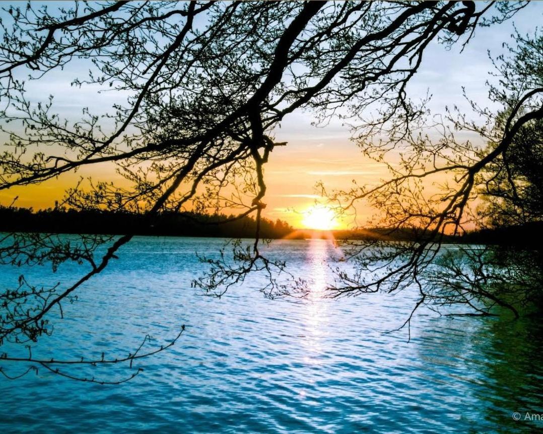 Close To The Metro And The Beach!!! With A View Of The Scandinavian Forest Stockholm Eksteriør billede