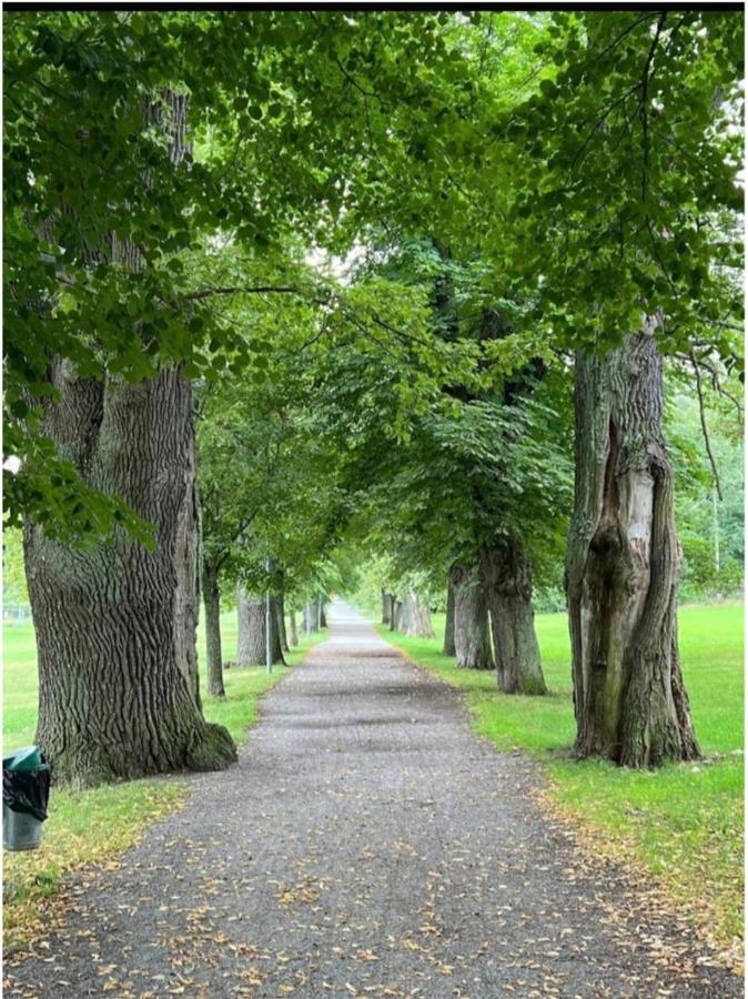 Close To The Metro And The Beach!!! With A View Of The Scandinavian Forest Stockholm Eksteriør billede