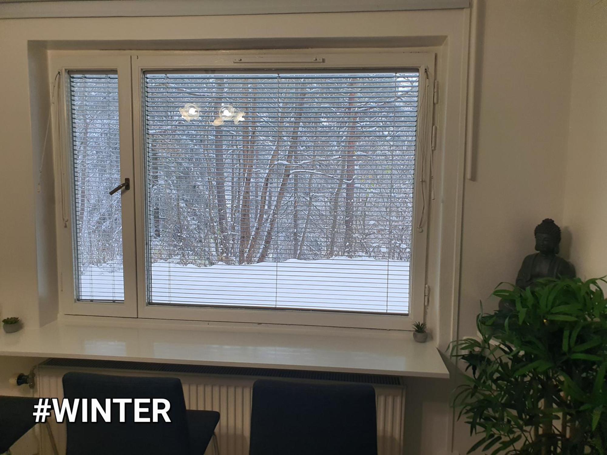 Close To The Metro And The Beach!!! With A View Of The Scandinavian Forest Stockholm Eksteriør billede